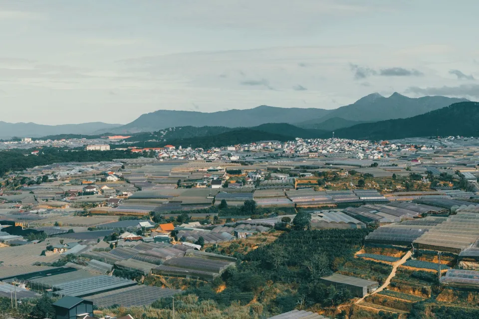 Hình ảnh tại Võ Thị Ta Sa 5